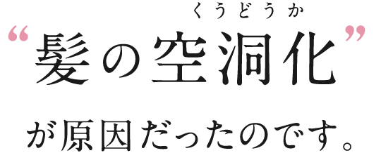 髪の空洞化が原因だったのです。