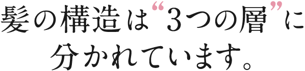 髪の構造は3つの層に分かれています。
