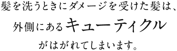 髪を洗うときにダメージを受けた髪は、外側にあるキューティクルがはがれてしまいます。