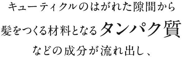 キューティクルのはがれた隙間から髪をつくる材料となるタンパク質などの成分が流れ出し