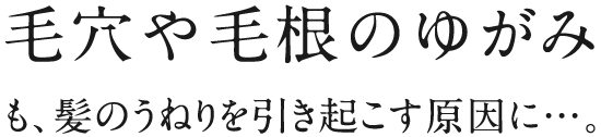 毛穴や毛根のゆがみも、髪のうねりを引き起こす原因に…。