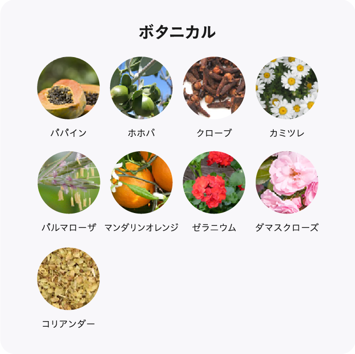 ボタニカル