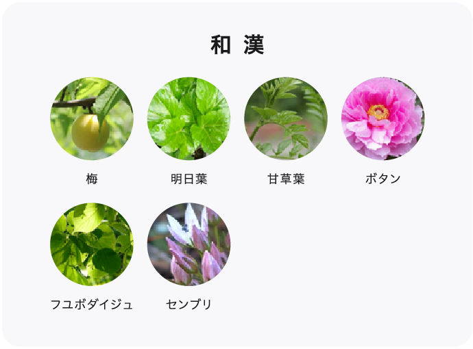 和漢