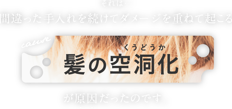 それは…間違った手入れを続けてダメージを重ねて起こる髪の空洞化が原因だったのです。