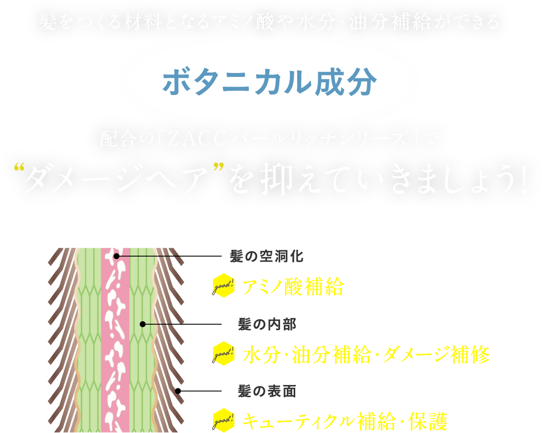 だから…髪をつくる材料となるアミノ酸や水分・油分補給ができるボタニカル成分配合の「ZACCパールリッチシリーズ」で“くせ毛”を抑えていきましょう!