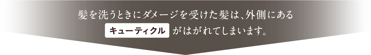 髪を洗うときにダメージを受けた髪は、外側にあるキューティクルがはがれてしまいます。