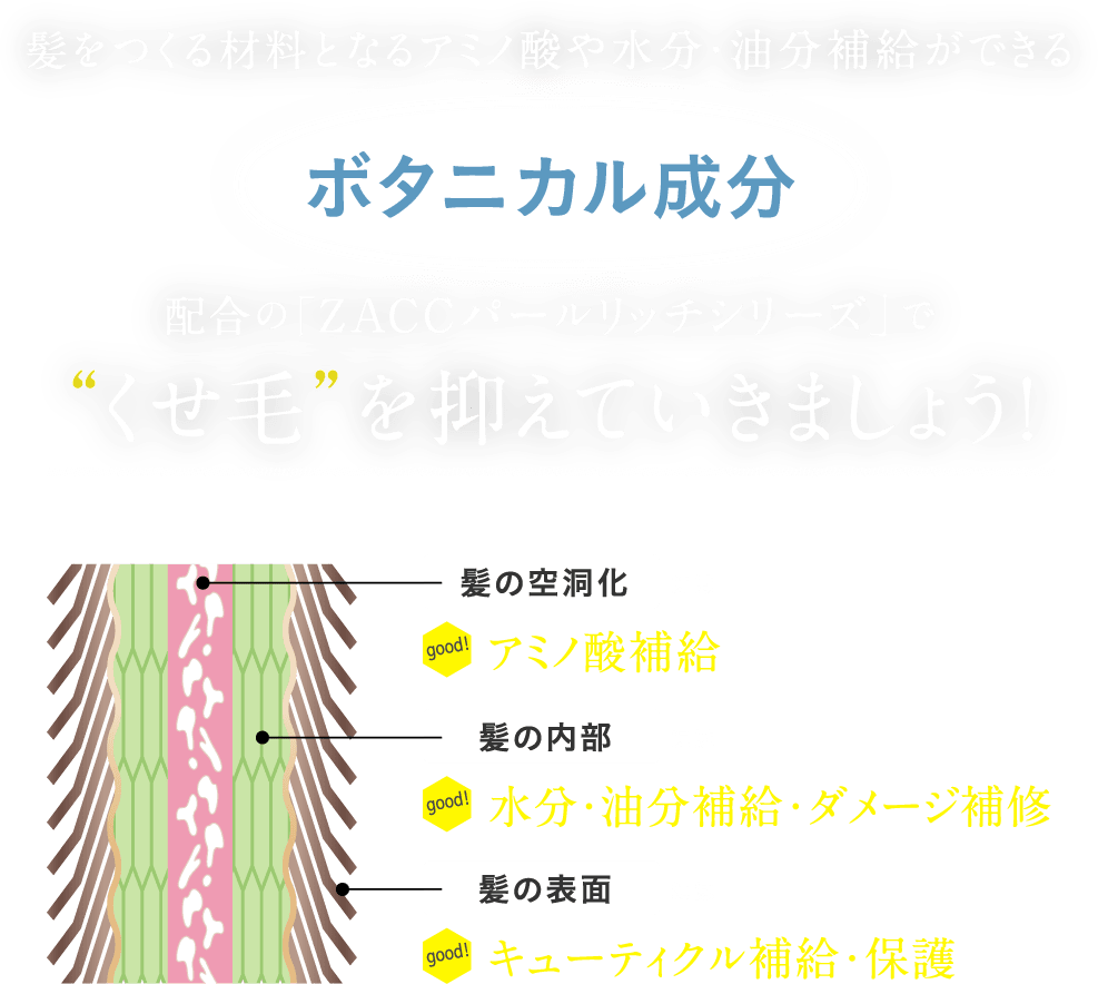 だから…髪をつくる材料となるアミノ酸や水分・油分補給ができるボタニカル成分配合の「ZACCパールリッチシリーズ」で“くせ毛”を抑えていきましょう!